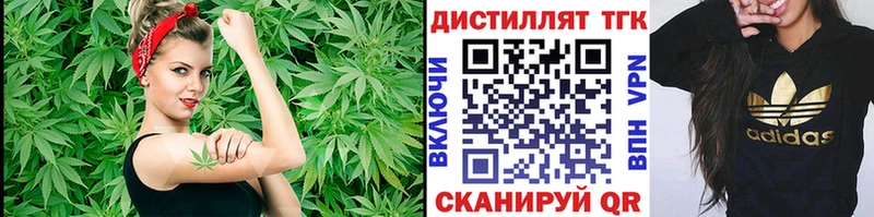 omg ТОР  Асино  Дистиллят ТГК гашишное масло 