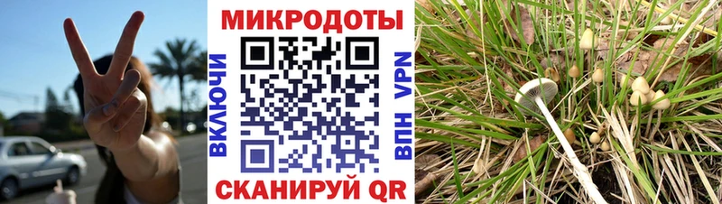 Галлюциногенные грибы мицелий  как найти наркотики  Асино 